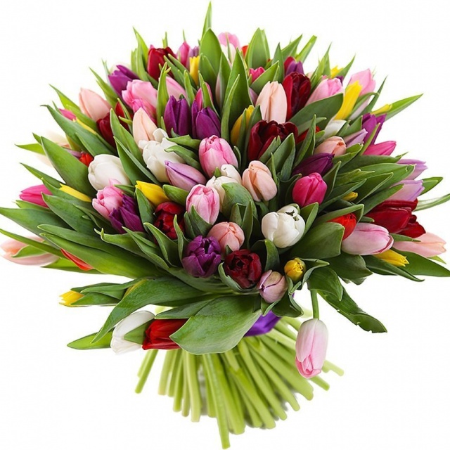 Букет из разноцветных Тюльпанов «Ощущение тюльпанов» Букет из разноцветных Тюльпанов «Ощущение тюльпанов»