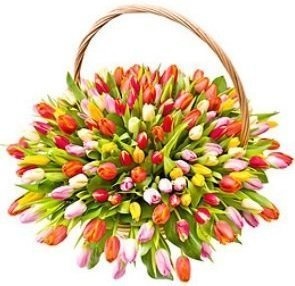 Композиция из Тюльпанов в корзине «Весенняя фантазия» Композиция из Тюльпанов в корзине «Весенняя фантазия»