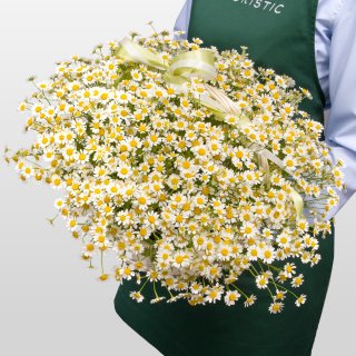 Композиция с Ромашками в корзине «Ромашковое поле» Композиция с Ромашками в корзине «Ромашковое поле»