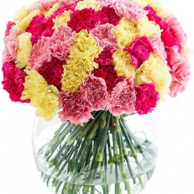 Букет из Гвоздик «Великолепные гвоздики» Букет из Гвоздик «Великолепные гвоздики»