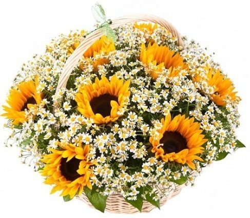 Композиция из Ромашек и Подсолнухов в корзине «Лучезарная корзина» Композиция из Ромашек и Подсолнухов в корзине «Лучезарная корзина»