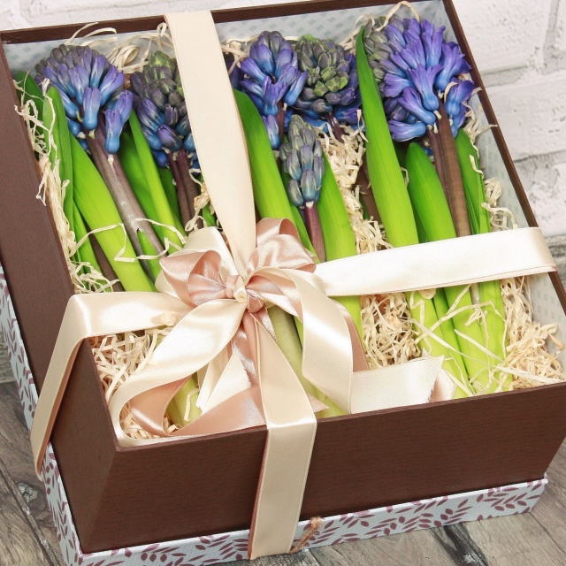 Композиция из Гиацинтов в коробке «Игра в непредсказуемость» Композиция из Гиацинтов в коробке «Игра в непредсказуемость»