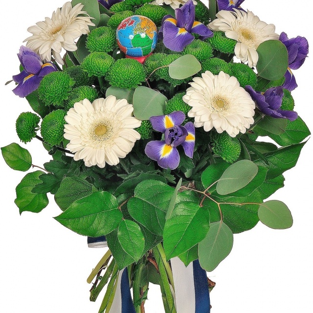 Букет из Гермини, Хризантем и Ирисов «Букет отличника» Букет из Гермини, Хризантем и Ирисов «Букет отличника»