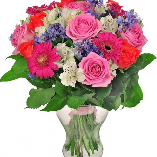 Букет из Роз и Гербер «Прекрасной Фее» Букет из Роз и Гербер «Прекрасной Фее»