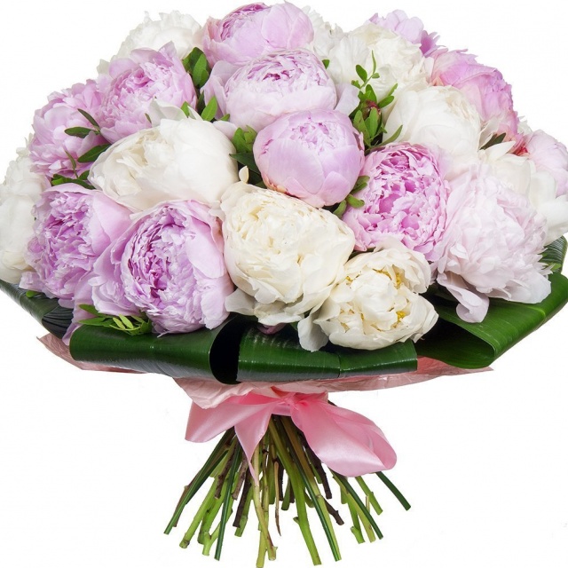 Букет из Пионов «Пионовая радость» Букет из Пионов «Пионовая радость»