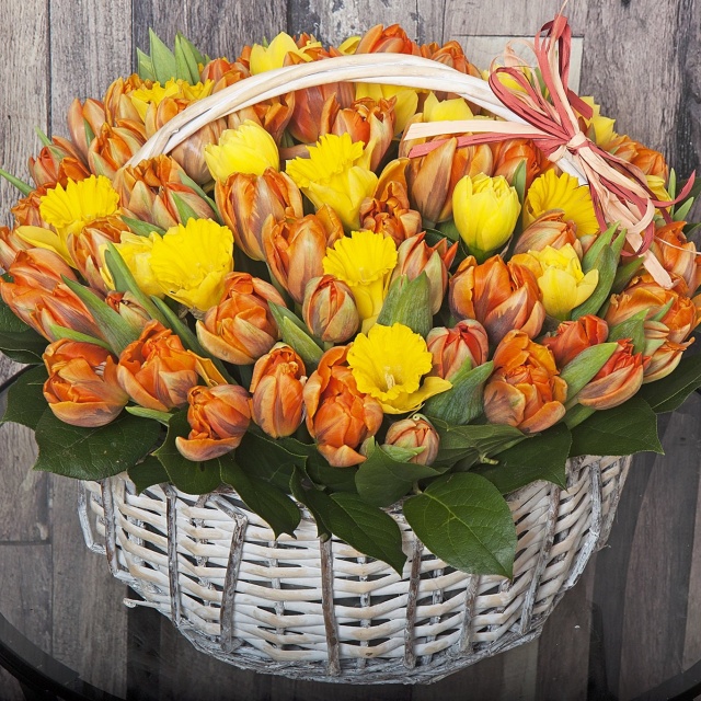 Композиция из Тюльпанов и Нарциссов в корзине «Весеннее настроение» Композиция из Тюльпанов и Нарциссов в корзине «Весеннее настроение»
