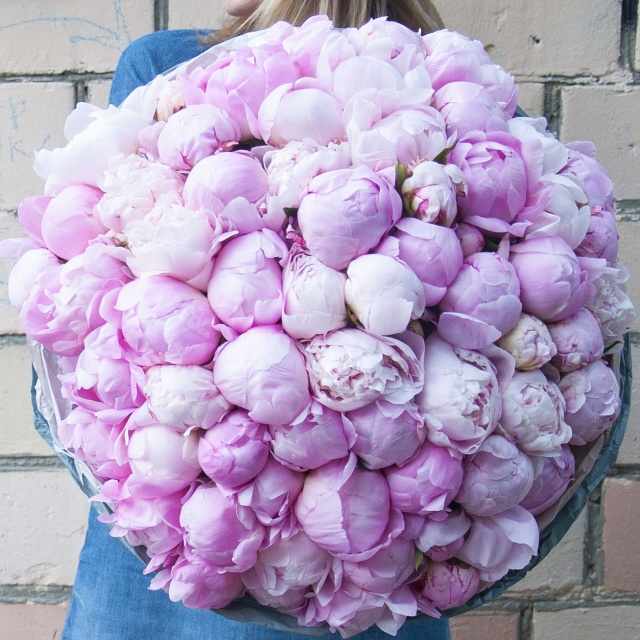 Букет Пионов «Душистый пион» Букет Пионов «Душистый пион»