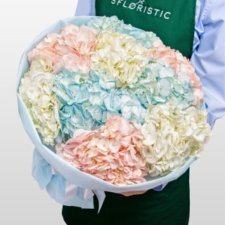Букет из разноцветных Гортензий «Сладкая вата» Букет из разноцветных Гортензий «Сладкая вата»