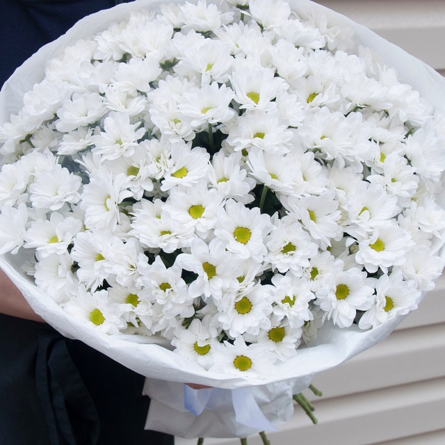 Букет Хризантем «Взбитые сливки» Букет Хризантем «Взбитые сливки»