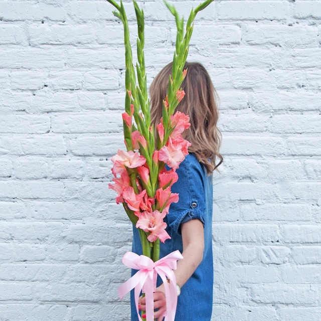 Букет Гладиолусов «Тонкая натура» Букет Гладиолусов «Тонкая натура»