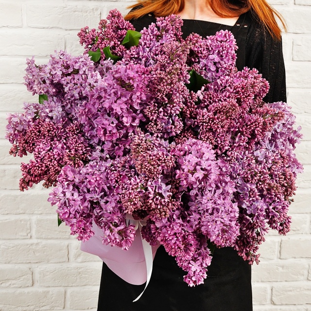 Букет из Сирени «Сиреневое волшебство» Букет из Сирени «Сиреневое волшебство»