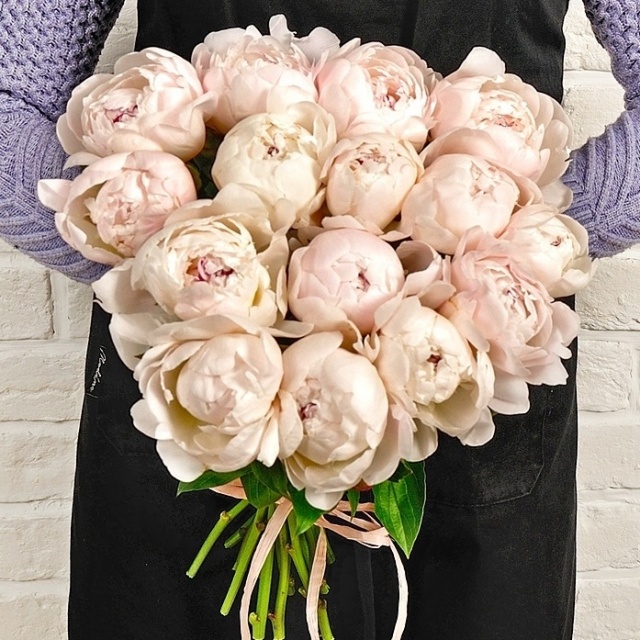 Букет из нежно-розовых Пионов «Фестива» Букет из нежно-розовых Пионов «Фестива»