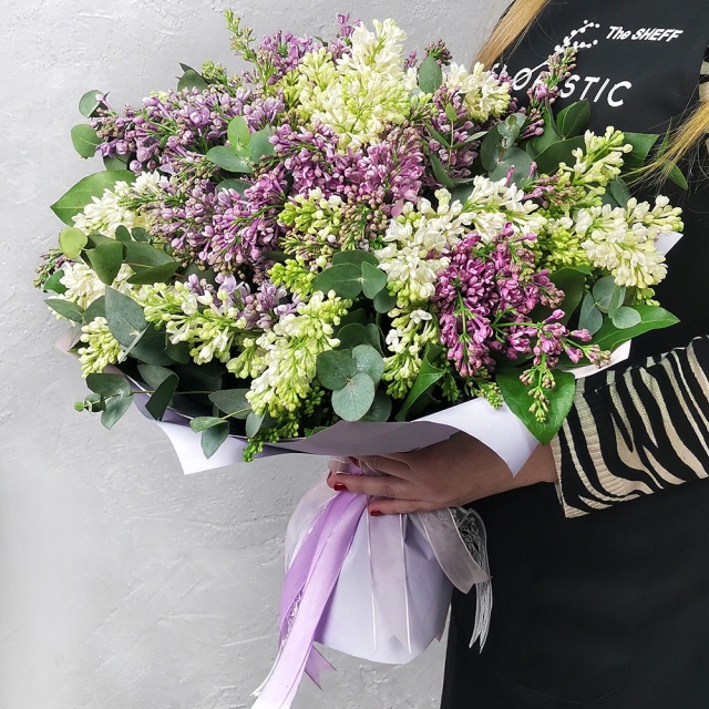 Букет из Сирени поштучно «Прекрасная сирень» Букет из Сирени поштучно «Прекрасная сирень»