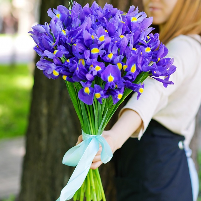 Букет из Ирисов «Ириска» Букет из Ирисов «Ириска»