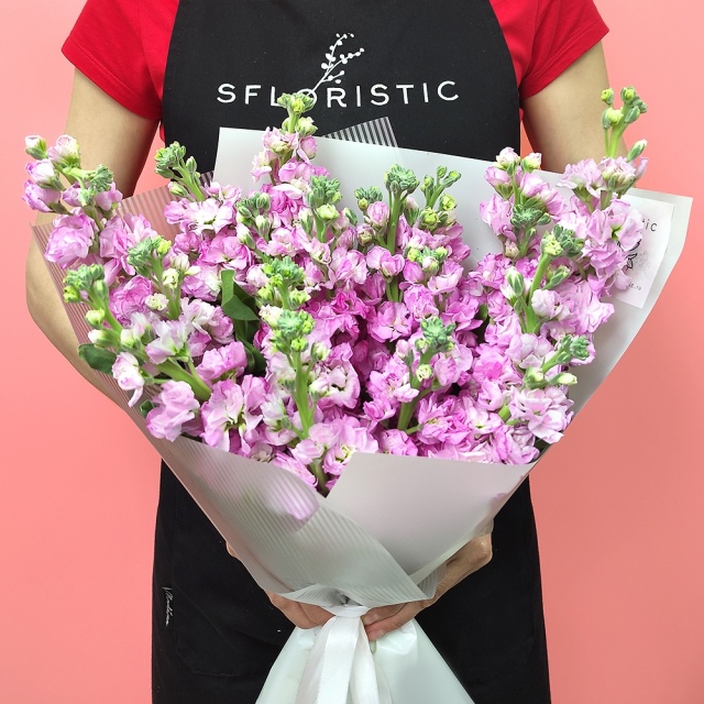 Букет из розовых Маттиол «Сладкая Дрема» Букет из розовых Маттиол «Сладкая Дрема»