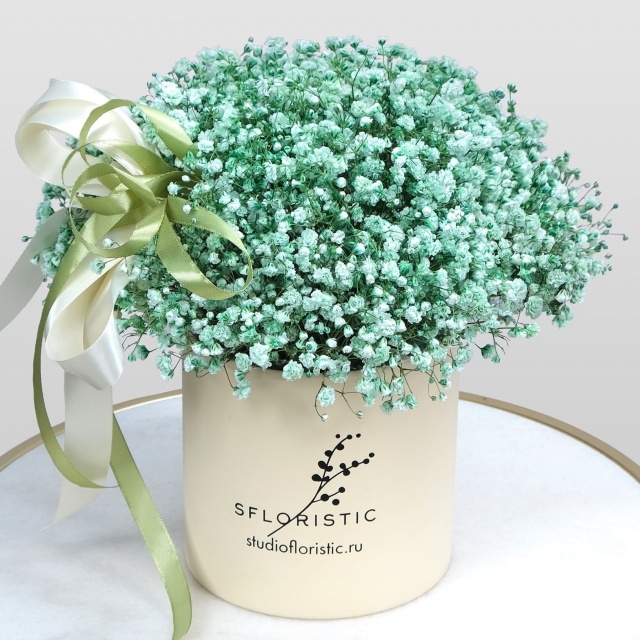 Композиция из Гипсофилы «Зеленая Сакура» Композиция из Гипсофилы «Зеленая Сакура»