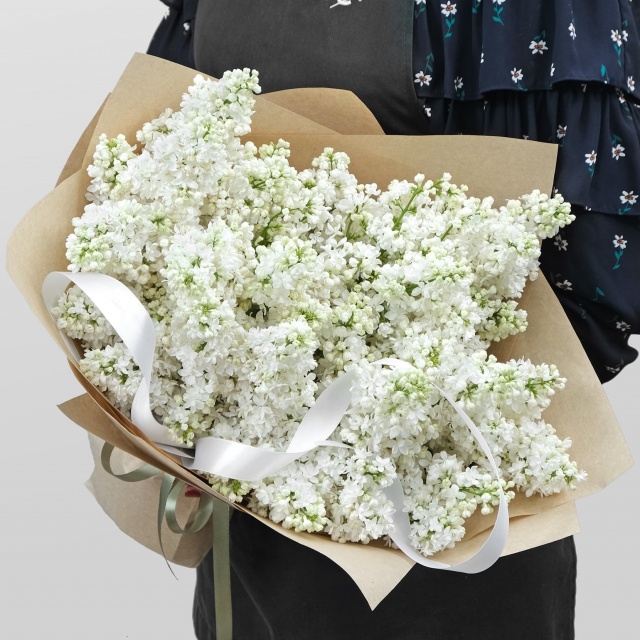 Букет из белой Сирени «Бонсай» Букет из белой Сирени «Бонсай»