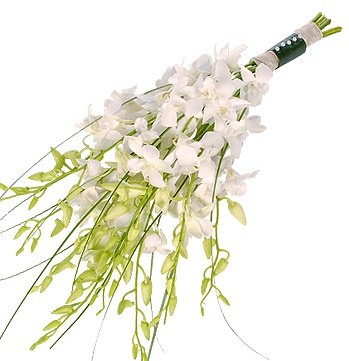 Букет из белых Орхидей «Летняя любовь» Букет из белых Орхидей «Летняя любовь»