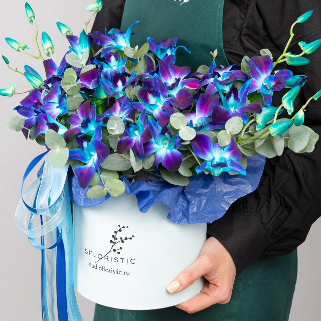 Композиция из синих Орхидей в шляпной коробке «Звездная Ночь» Композиция из синих Орхидей в шляпной коробке «Звездная Ночь»