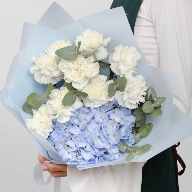 Букет из Гвоздик и Гортензий «Лунный восторг» Букет из Гвоздик и Гортензий «Лунный восторг»