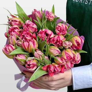Букет розовых Пионовидных Тюльпанов 25 шт «Шарм Бутона» Букет розовых Пионовидных Тюльпанов 25 шт «Шарм Бутона»