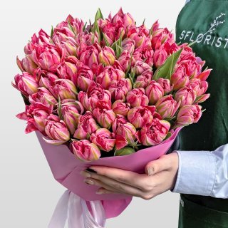 Букет розовых Пионовидных Тюльпанов 51 шт «Заря Весны» Букет розовых Пионовидных Тюльпанов 51 шт «Заря Весны»