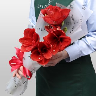 Букет из Амариллиса 3 шт «Зимняя Звезда» Букет из Амариллиса 3 шт «Зимняя Звезда»