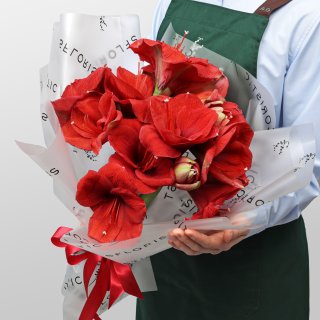 Букет из Амариллиса 5 шт «Огонек на Снегу» Букет из Амариллиса 5 шт «Огонек на Снегу»