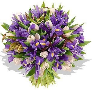 Букет из Тюльпанов и Ирисов «Тайна лугов» Букет из Тюльпанов и Ирисов «Тайна лугов»