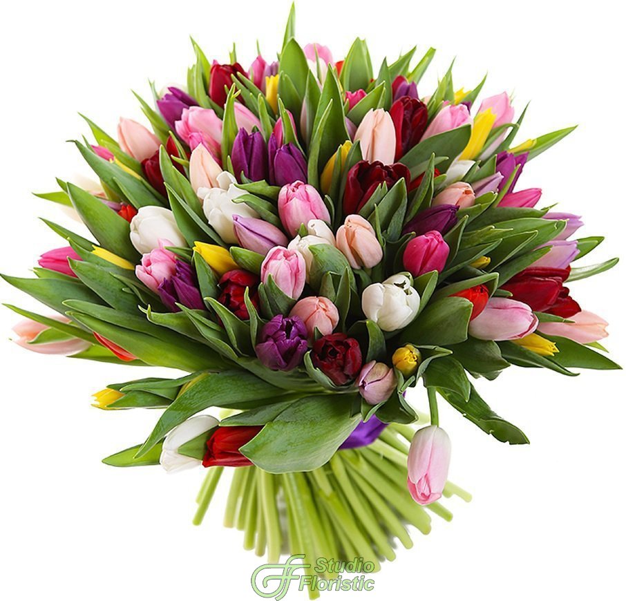 Цветы тюльпаны купить недорого белые цветочки для букетов