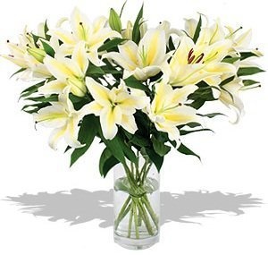 Букет из белых Лилий «Утонченная Элегантность» Букет из белых Лилий «Утонченная Элегантность»