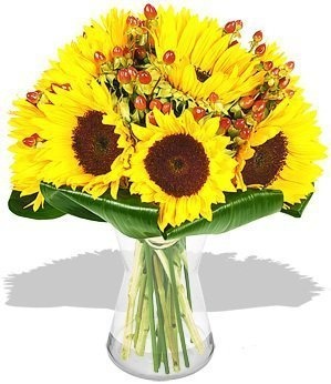 Букет из Подсолнухов «Солнце» Букет из Подсолнухов «Солнце»