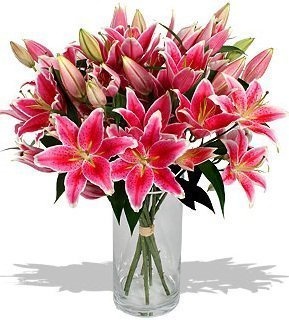 Букет из Лилий «Розовые веснушки» Букет из Лилий «Розовые веснушки»