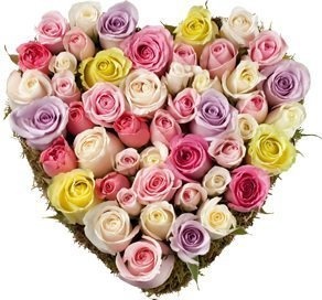 Композиция из разноцветных Роз «Признание» Композиция из разноцветных Роз «Признание»