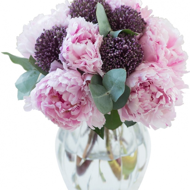 Букет из Пионов «Ласковый букет» Букет из Пионов «Ласковый букет»