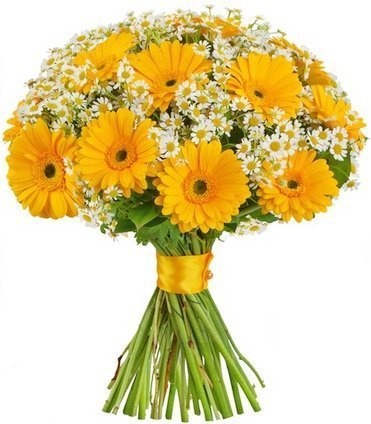 Букет из Ромашек и Гермини «Солнечный момент» Букет из Ромашек и Гермини «Солнечный момент»