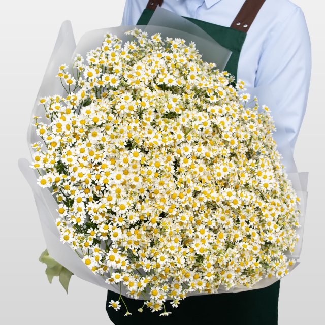 Букет Ромашек «Поле ромашек» Букет Ромашек «Поле ромашек»