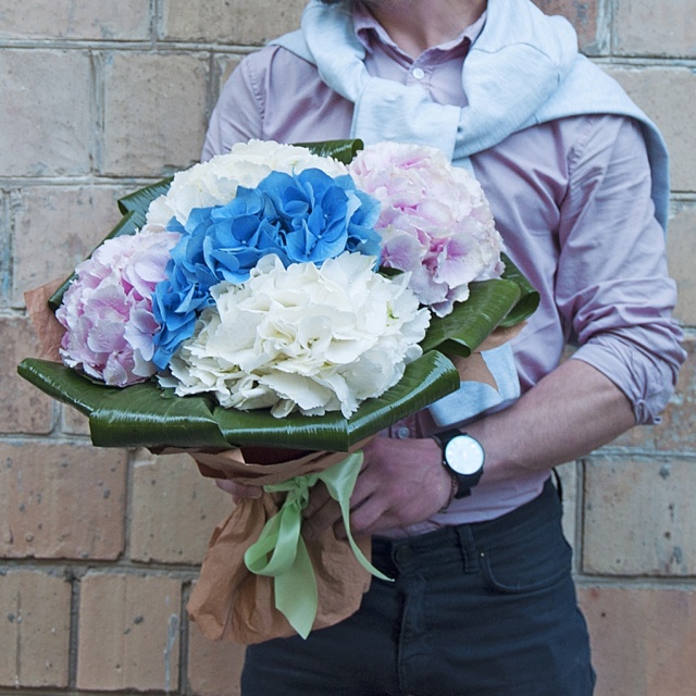Букет Гортензий «Маршмеллоу» Букет Гортензий «Маршмеллоу»