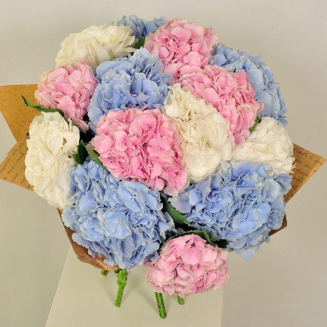 Букет из Гортензий «Летняя радость» Букет из Гортензий «Летняя радость»