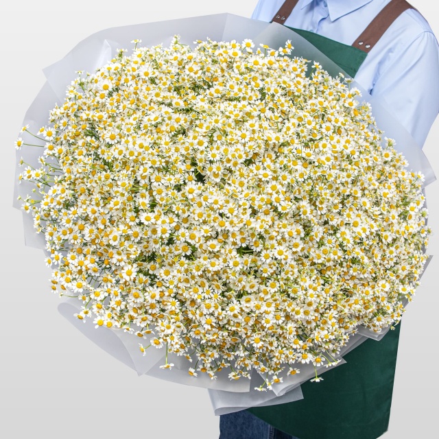 Букет Ромашек «Ромашковое поле» Букет Ромашек «Ромашковое поле»