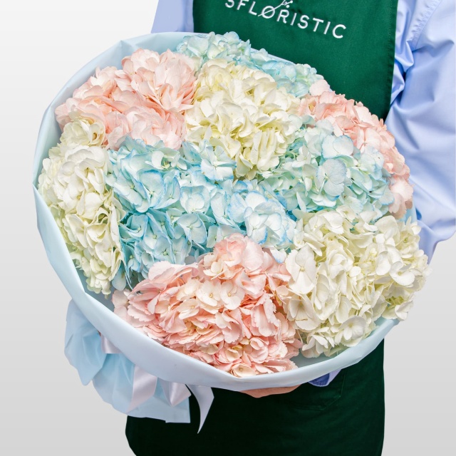 Букет из разноцветных Гортензий «Сладкая вата» Букет из разноцветных Гортензий «Сладкая вата»