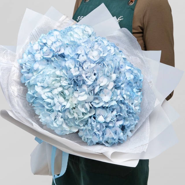 Букет из синих Гортензий «Облачко» Букет из синих Гортензий «Облачко»