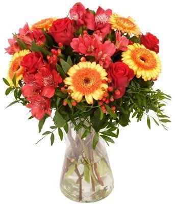 Букет с Герберами и Розой «Теплые пожелания» Букет с Герберами и Розой «Теплые пожелания»