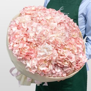 Букет из светло-розовой Гортензии «Фламинго» Букет из светло-розовой Гортензии «Фламинго»