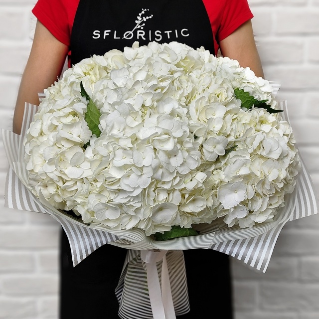 Букет из Гортензий «Белиос» Букет из Гортензий «Белиос»