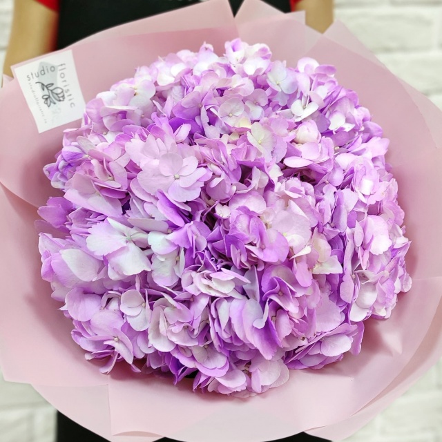 Букет из Лавандовых Гортензии «Сиреневая вата» Букет из Лавандовых Гортензии «Сиреневая вата»