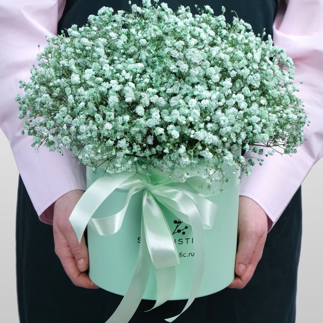 Композиция из Гипсофилы «Оливка» Композиция из Гипсофилы «Оливка»