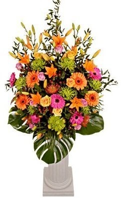 Композиция из Роз, Гербер и Хризантем «Яркий и веселый Шамрок» Композиция из Роз, Гербер и Хризантем «Яркий и веселый Шамрок»