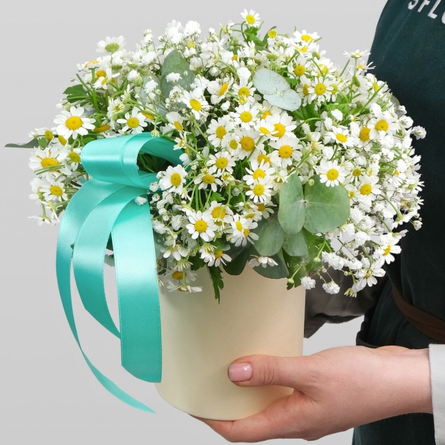 Композиция из Ромашки и Гипсофилы в шляпной коробке «Нежная Любовь» Композиция из Ромашки и Гипсофилы в шляпной коробке «Нежная Любовь»