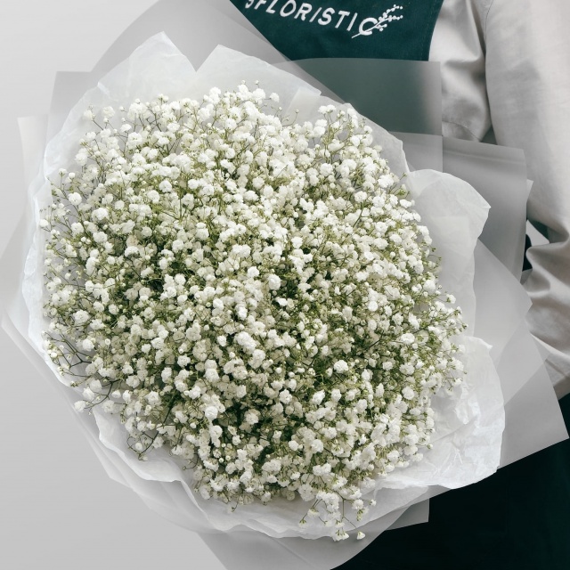 Букет из Гипсофилы 15 шт «Белая Ночь» Букет из Гипсофилы 15 шт «Белая Ночь»